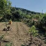Giovanna 4*
