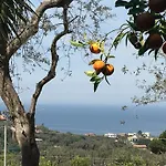 Giovanna